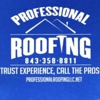 Professional Roofing gallery