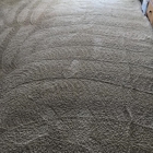Mighty Clean Carpet & Tile Cleaning
