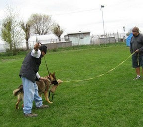 Pro Canine Center - Frenchtown, NJ