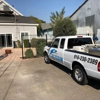 All Clear Pest Control gallery
