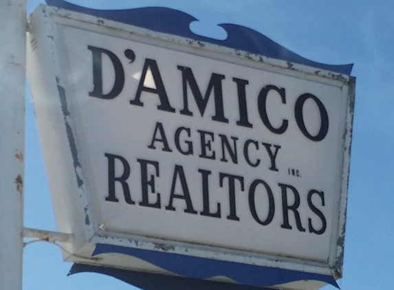 D'Amico Agency Inc Realtors - Youngstown, OH