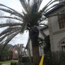 Orellanas Tree Service - Tree Service