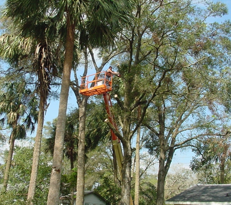 D-Best Tree Care - Orange City, FL