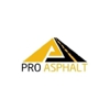 Pro Asphalt gallery