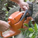 North Country Tree and Garden Services - Tree Service