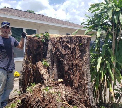 Joe's Tree Service - Plant City, FL