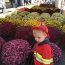 Nashville Farmers' Market - Grocery Stores