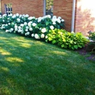 Beautiful Blooms Landscape & Design