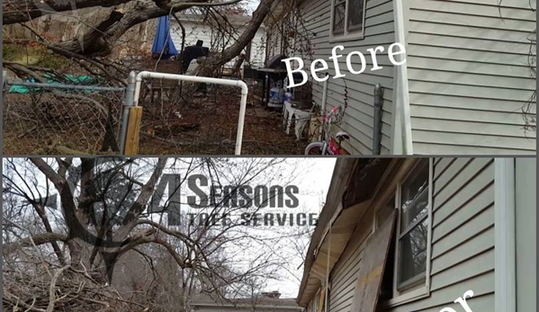 4 Seasons Tree Service - Springfield, MO. Storm Damage
We remove this large tree that came down due to the root system not being in good condition.