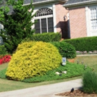 Dorler Landscape Designs