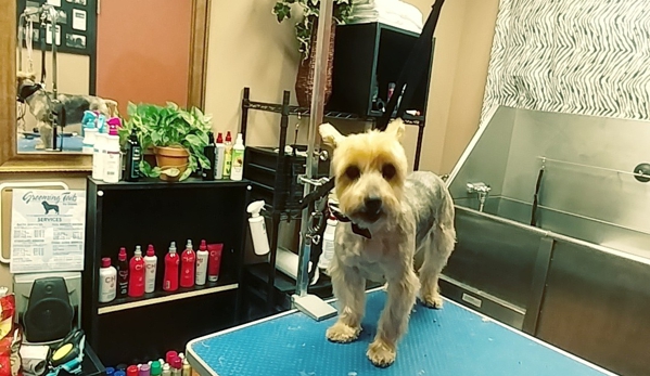 grooming by dawn - Reading, PA