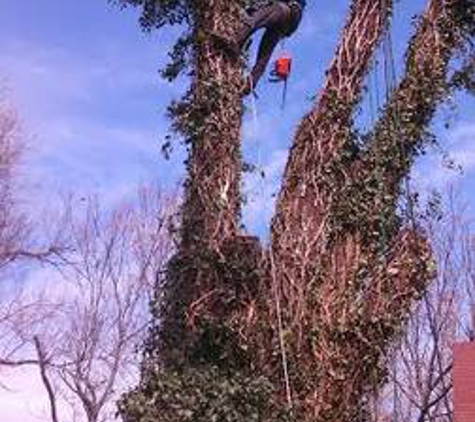 Marc's Tree and Landscape - Wichita, KS