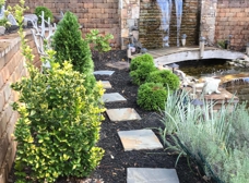 Gallery Image Number 5