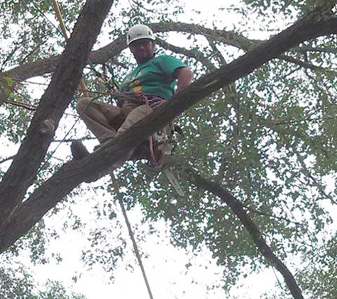 Hoffmann Tree Service - Montello, WI