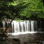 Ricketts Glen State Park