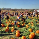 Cal Poly Pomona Farm Store - Petting Zoos