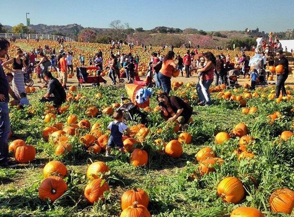 Cal Poly Pomona Farm Store - Pomona, CA