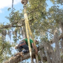 Pete & Ron's Tree Service - Tree Service