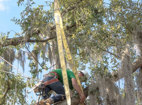 Pete & Ron's Tree Service Inc - St Petersburg, FL