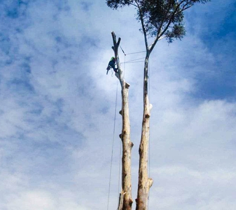 Newcastle Tree Care - Warners Bay, NSW