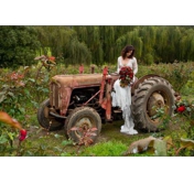 Gallery Image Number 2