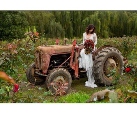 Nati Roses International Pty Ltd