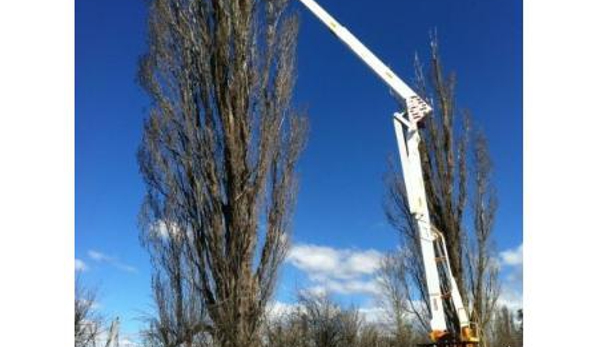 McMahon's Earthmoving & Tree Service - Jindabyne, NSW