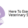 Here To Eternity Veterinary Services gallery