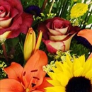 Renee's Flower Shop - Florists