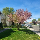 Actual Arborists of Utah - Arborists