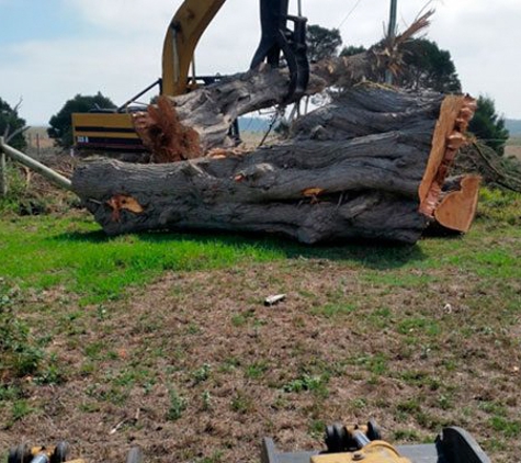 Drouin Tree Services - Drouin, VIC