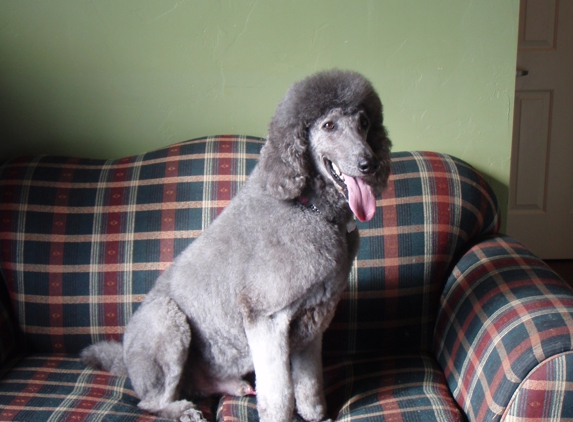 Classic Cuts Pet Grooming - Nampa, ID