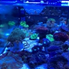 Saltwater Heaven gallery