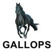 Gallops Gas Station, Truck Stop & Travel Center of Kendallville gallery