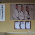 US Taekwondo College in Herndon & Reston