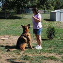 KC K-9 Training & Behavior - Pet Services