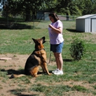 KC K-9 Training & Behavior