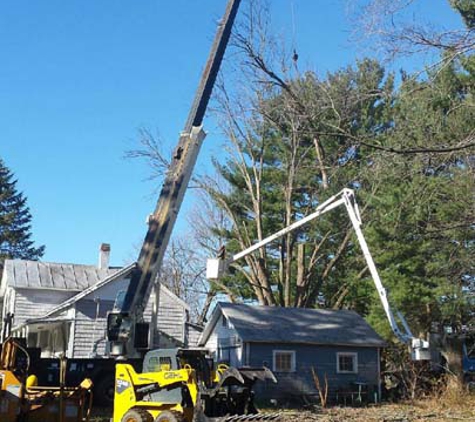 Hinman Tree Service - Collins, OH