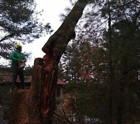 Eskildsen's Tree Service & Property Maintenance - Arkdale, WI