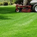 Go Green Lawn & Landscape - Tree Service