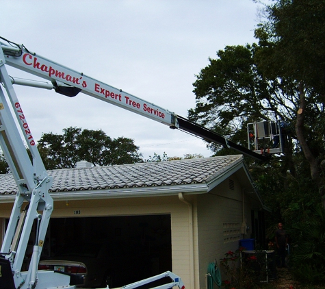 Chapmans Expert Tree Service - Daytona Beach, FL