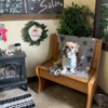 Bow-Wow Boutique Pet Salon& Salon gallery