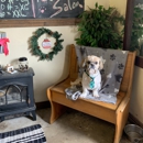 Bow-Wow Boutique Pet Salon& Salon - Pet Boarding & Kennels