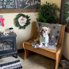 Bow-Wow Boutique Pet Salon& Salon