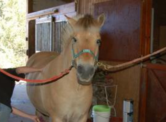 MMW Quarter Horses - Olalla, WA