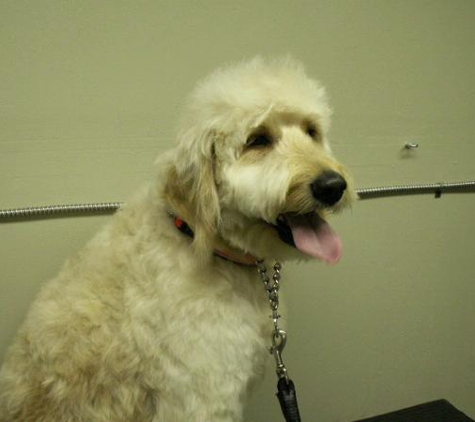 Just Great Grooming - Medford, OR