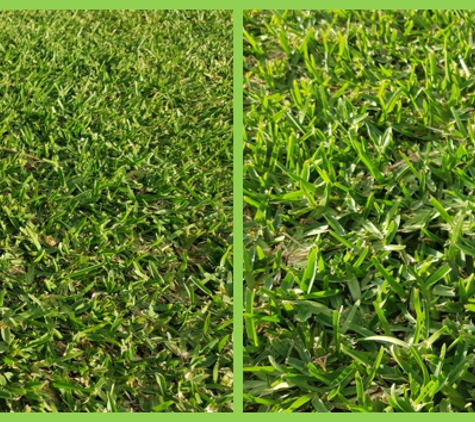 Walkers Turf Supplies - Silkstone, QLD