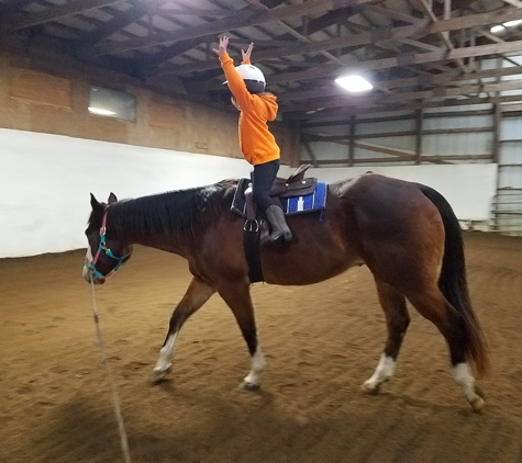 Kaizen Horse Training and Lessons - Monroe, MI