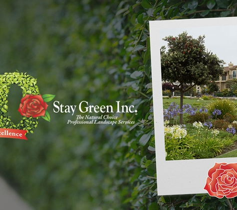 Stay Green Inc. - Canyon Country, CA