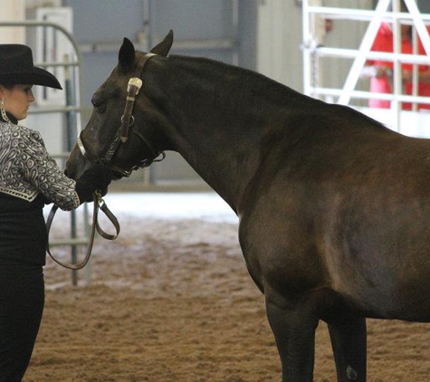 Wichita Riding Academy - Derby, KS